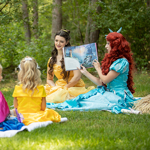 What can you do at a Princess Party?